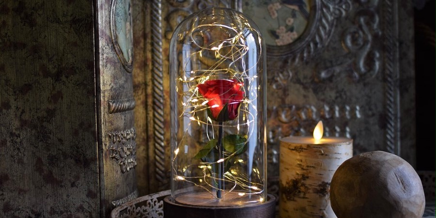 LEDライトが光る美女と野獣のようなガラスドーム入りの赤バラ | 幕張の ...