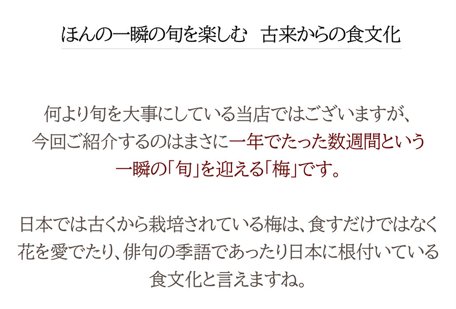 群馬が誇る青梅 白加賀梅 約5kg | 旬のくだものや 六果