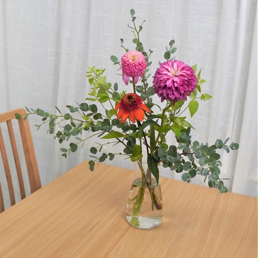 エキナセア オレンジボールビュー 10本 よいはな Yoihana 最高品質のお花をお届けするネット通販
