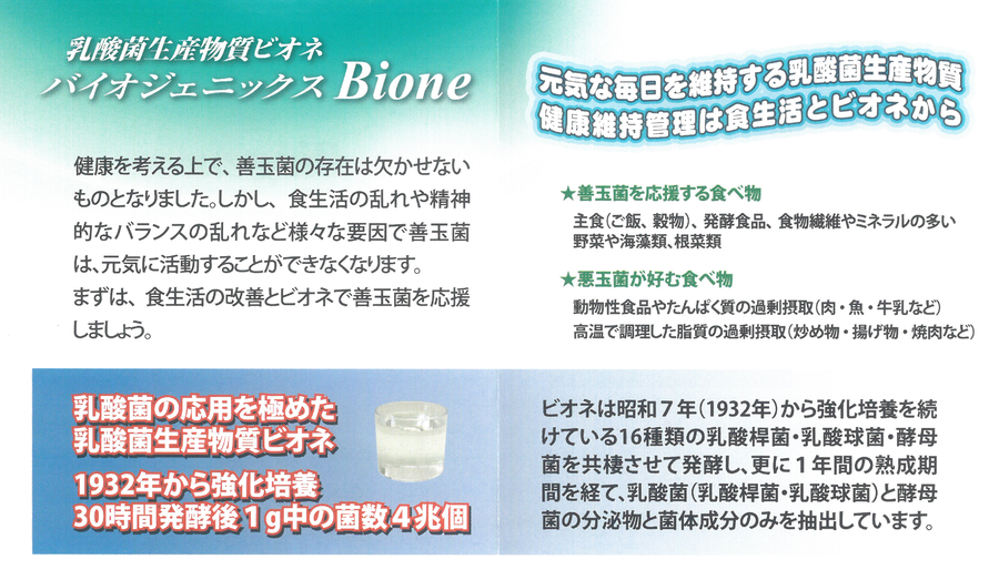 乳酸菌生産物質 ビオネA 10ml　30包