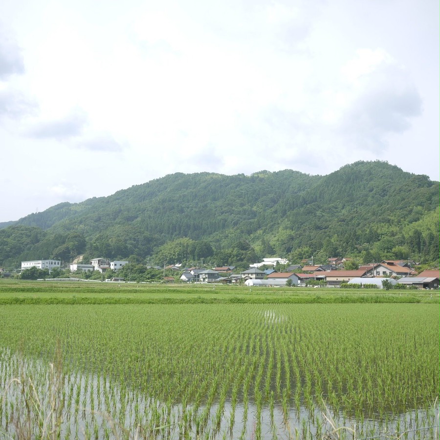 奥に見えるのが山根酒造場(お酒は違います)