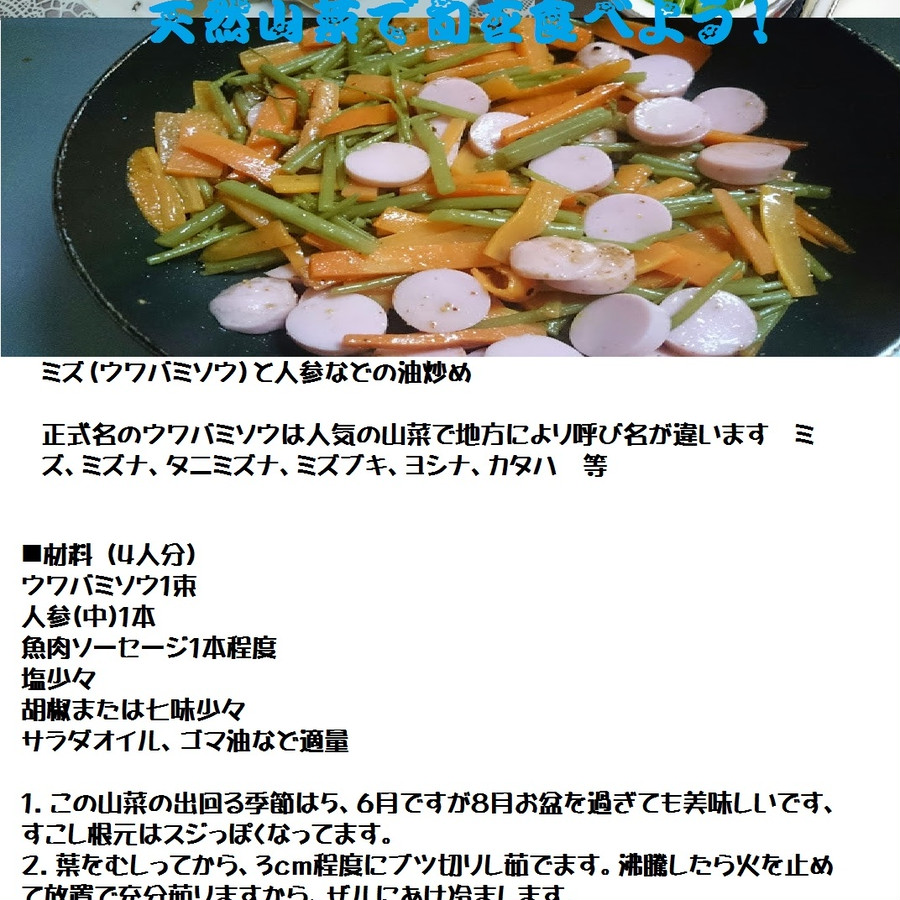 早期予約受付中 天然山菜 天然みず ３００ｇ 自然の恵み 限定予約販売 青森県白神山麓便 送料無料 クール便 こだわり市場