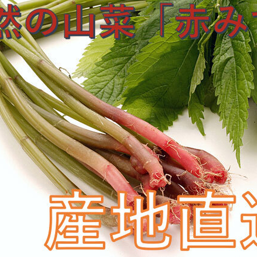 早期予約受付中 天然山菜 天然みず ３００ｇ 自然の恵み 限定予約販売 青森県白神山麓便 送料無料 クール便 こだわり市場