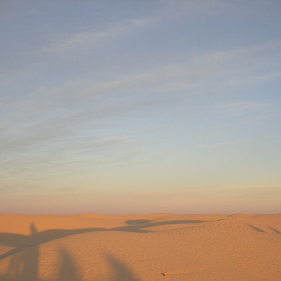 夕陽に照らされるサハラ砂漠