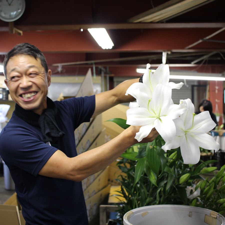 鈴木健市さんの愛情たっぷり育てたユリ