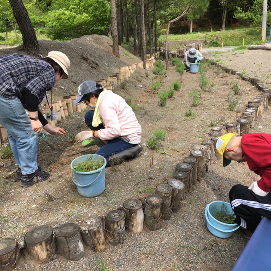 草取りなど環境整備はしっかりおこなっています