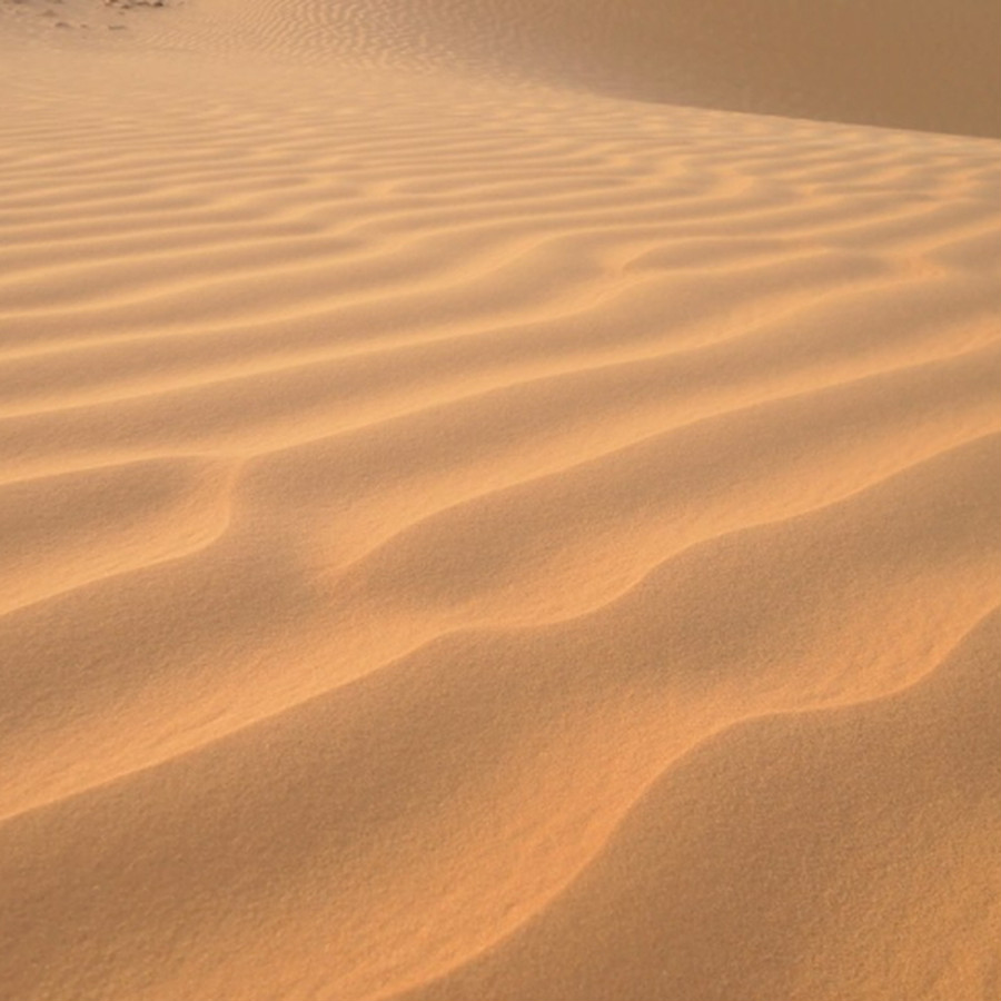 刻々と変わる砂の風景