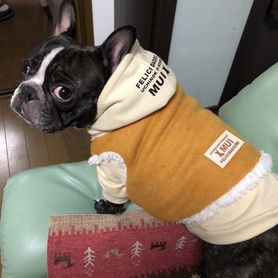 MUIちゃん
