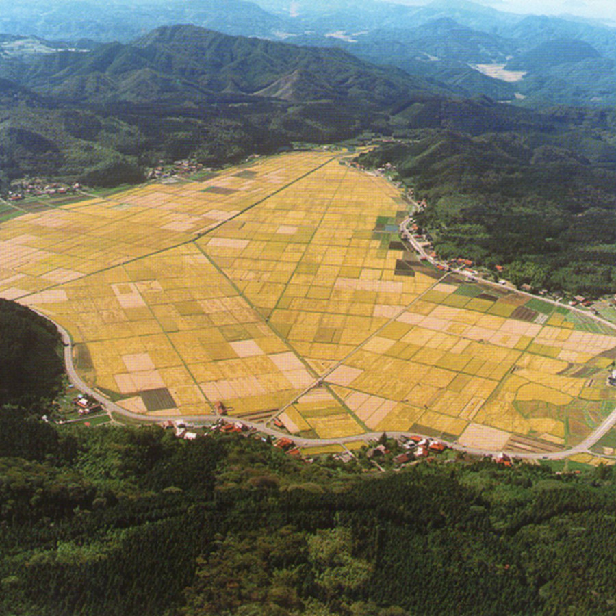 宇生賀は県内でも有数の米どころです。