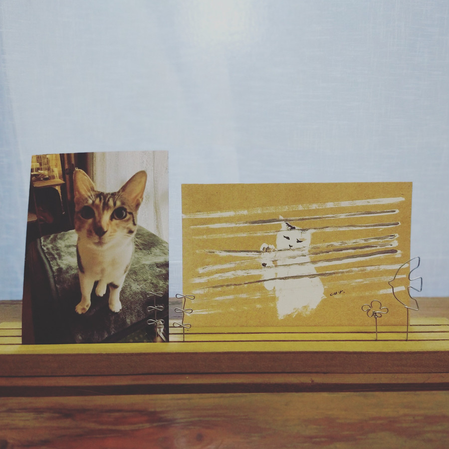 愛猫ちゃんとcurognacのポストカード