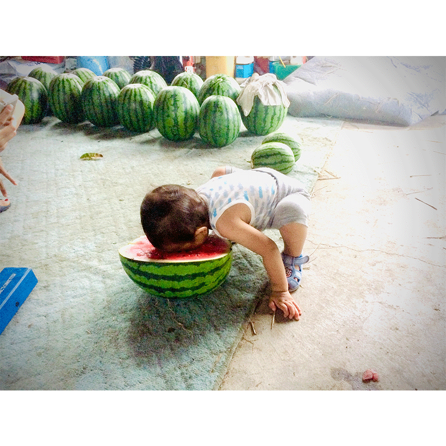 こまがた家の八色のスイカ 極上小玉スイカ 2玉 1玉あたり約1 6 2 5kg こまがた家オンラインショップ