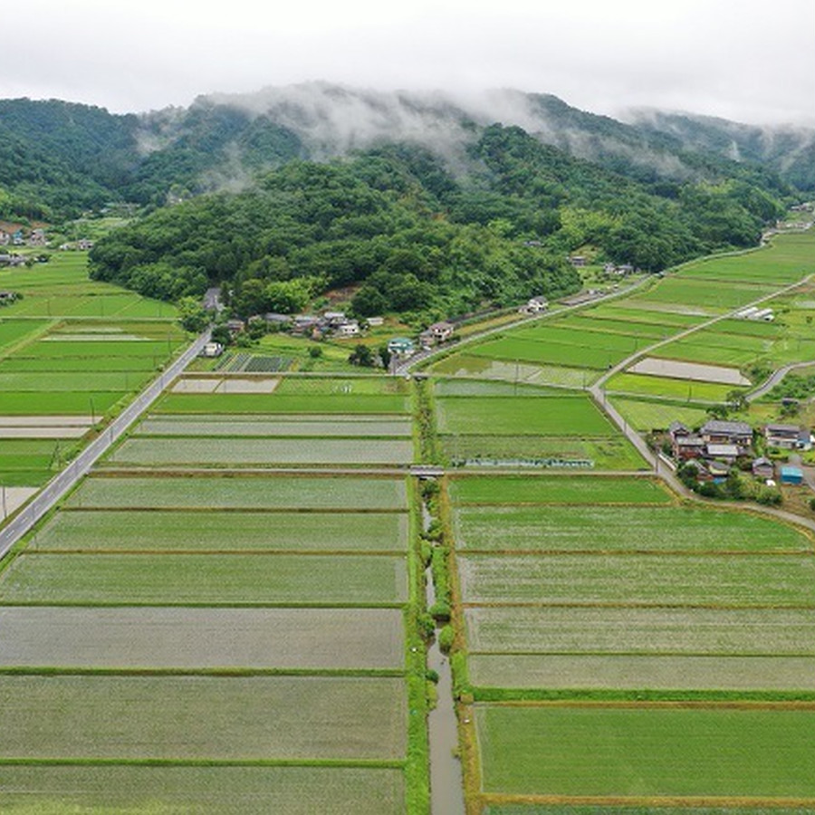 栃木県佐野市、唐沢山の麓に農場はあります。