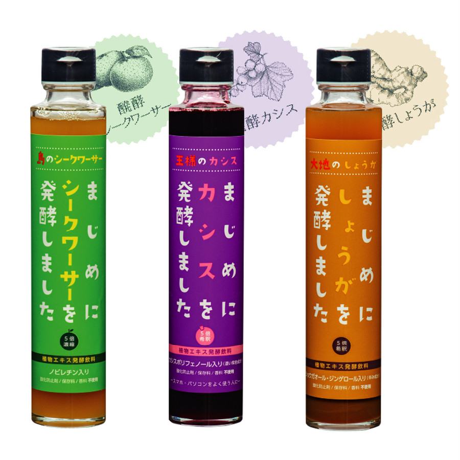 させたフル ジャフマック 醗酵カシス（飲料） 565ml×12本セット 同梱・キャンセル・ラッピング ⋮ニュージー
