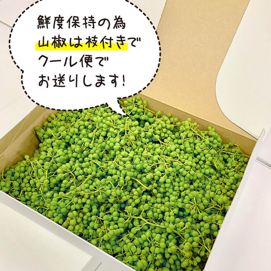 有田のぶどう山椒 500g 和歌山県産 数量限定 クール便対応 【みかんの