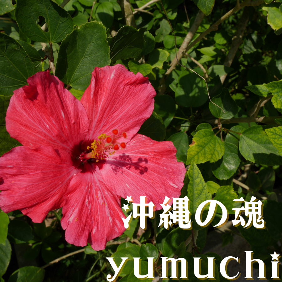 yumuchiとは沖縄の祈りを意味しています