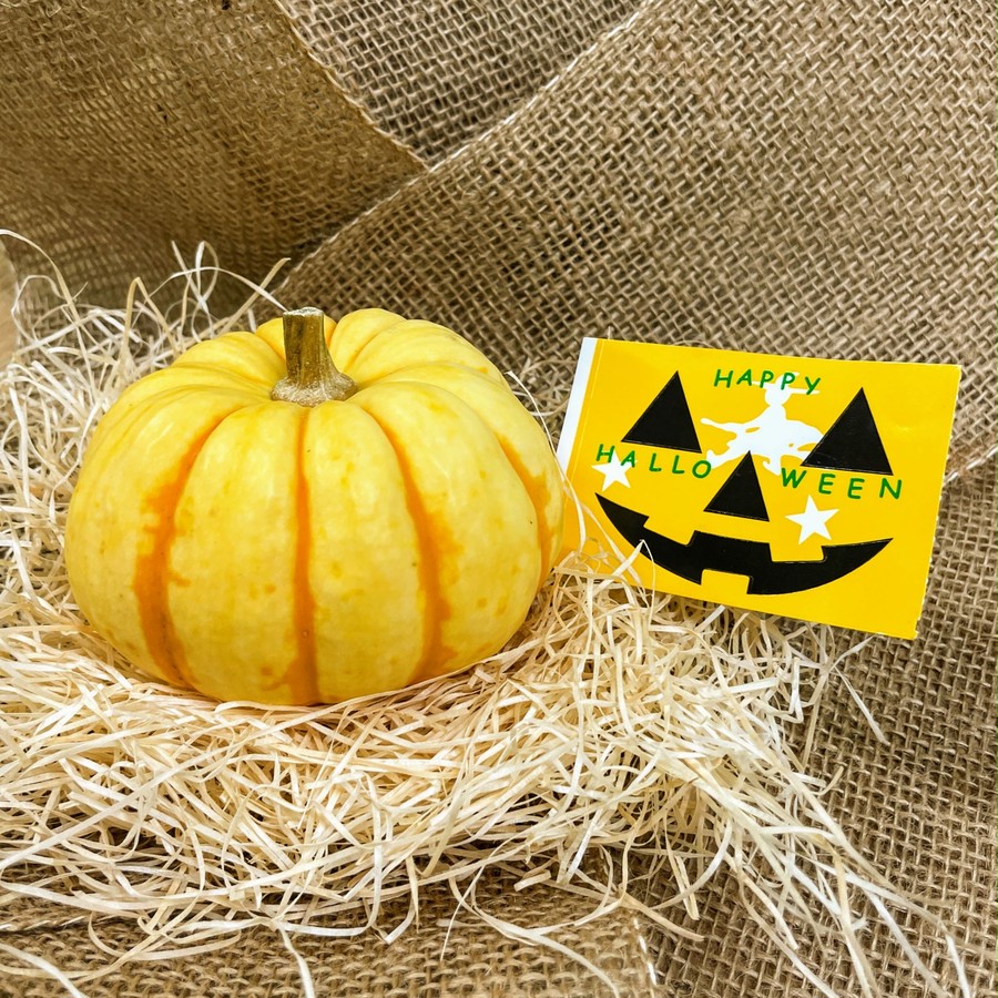顔シールが付きます。どんな顔にしましょうか🎃