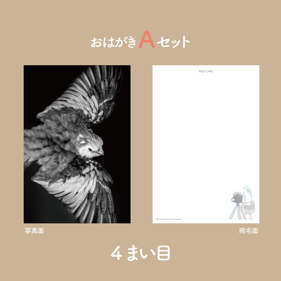 ゆらセンパイのクールな一枚