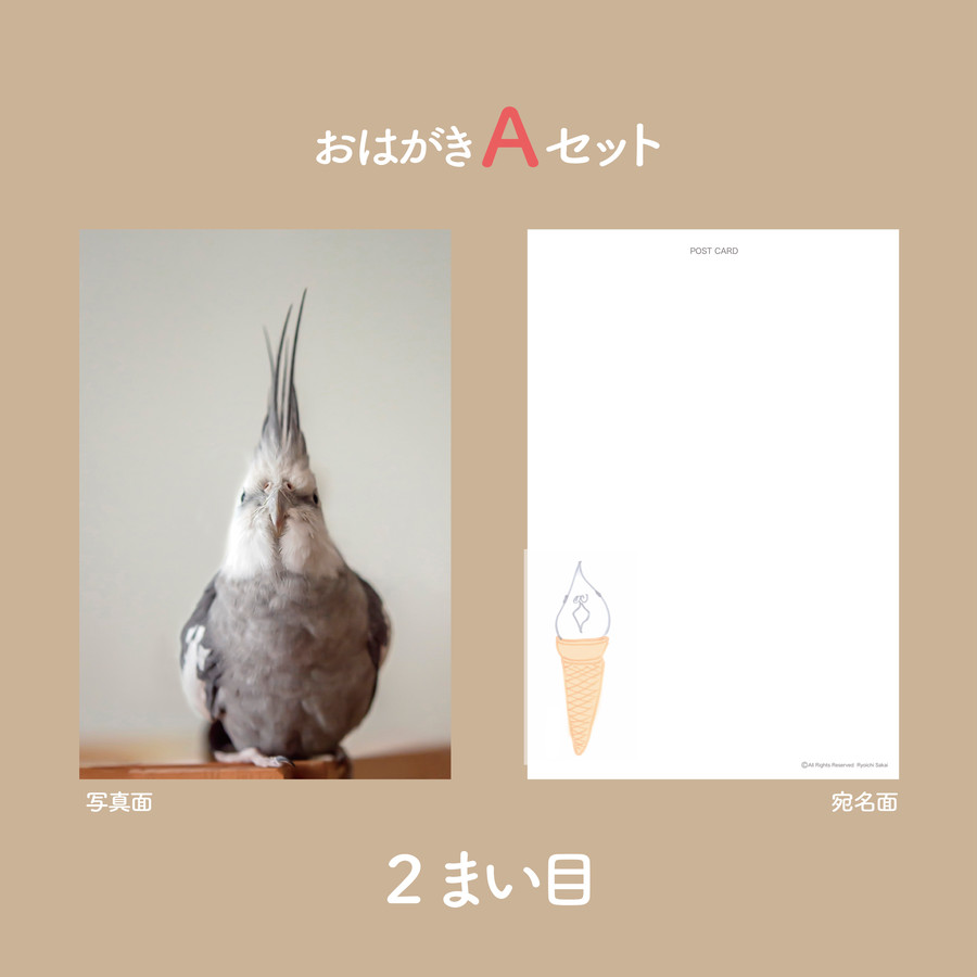 ニマイメナゆらセンパイの縦バージョン