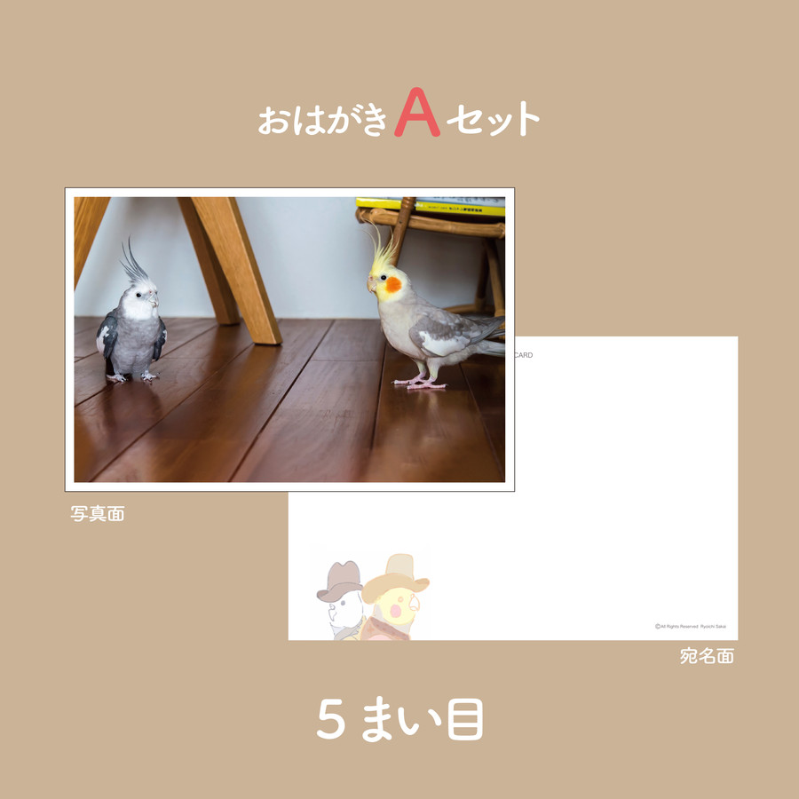 ゆらぽぃツーショット